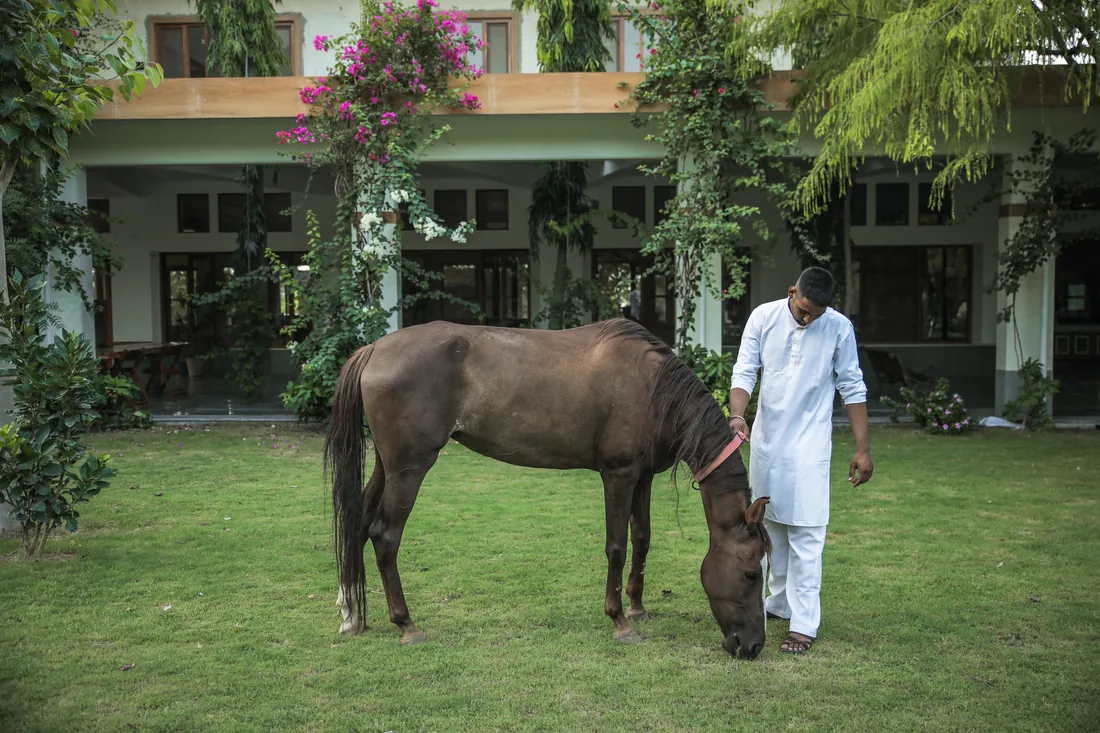 Vish with the horse on the lawn