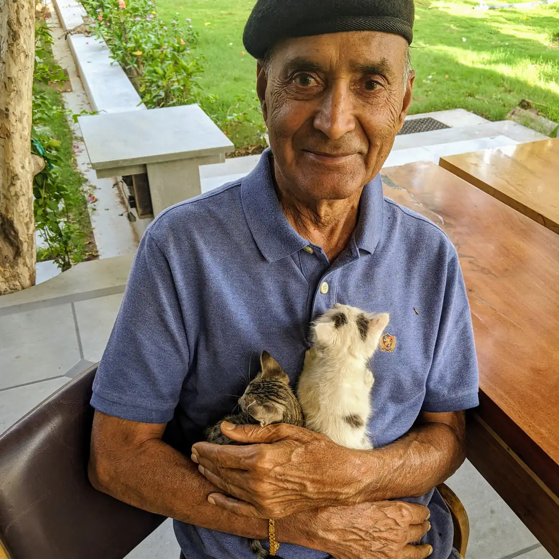 Papa with the new kittens