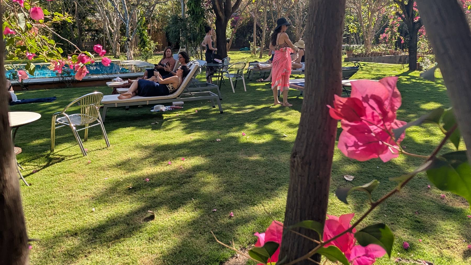 Guests in conversation at golden hour in the garden