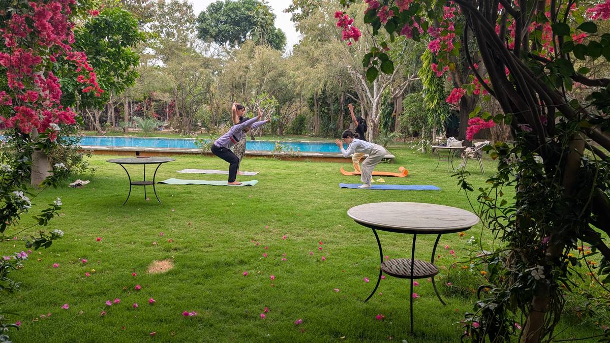 Yoga on the farm terrace