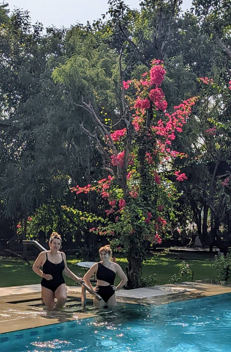 Movement on the farm