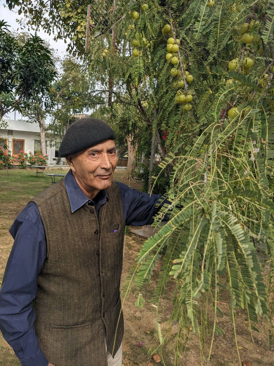Karni Fateh Singh with amla fruit