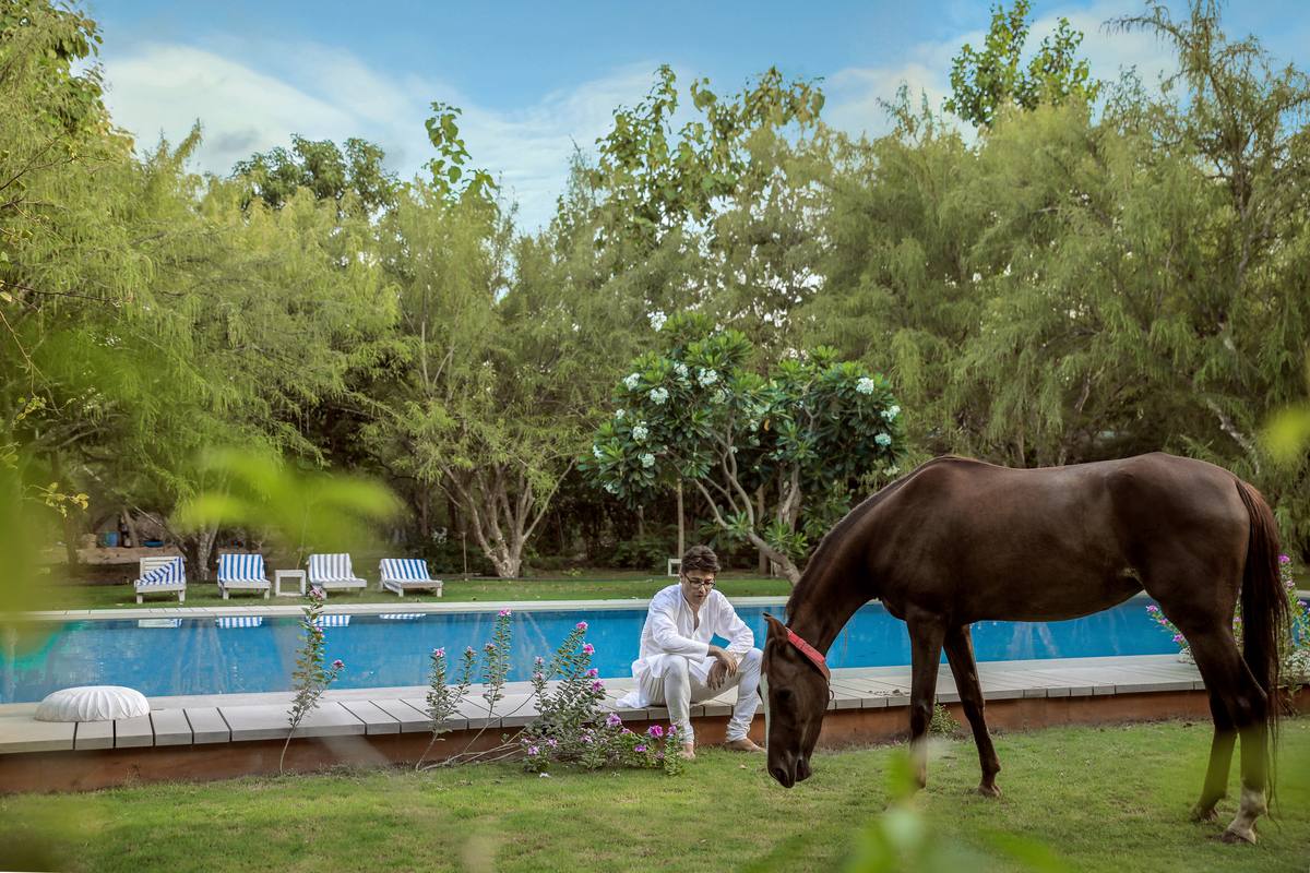 Horse beside the pool on the farm
