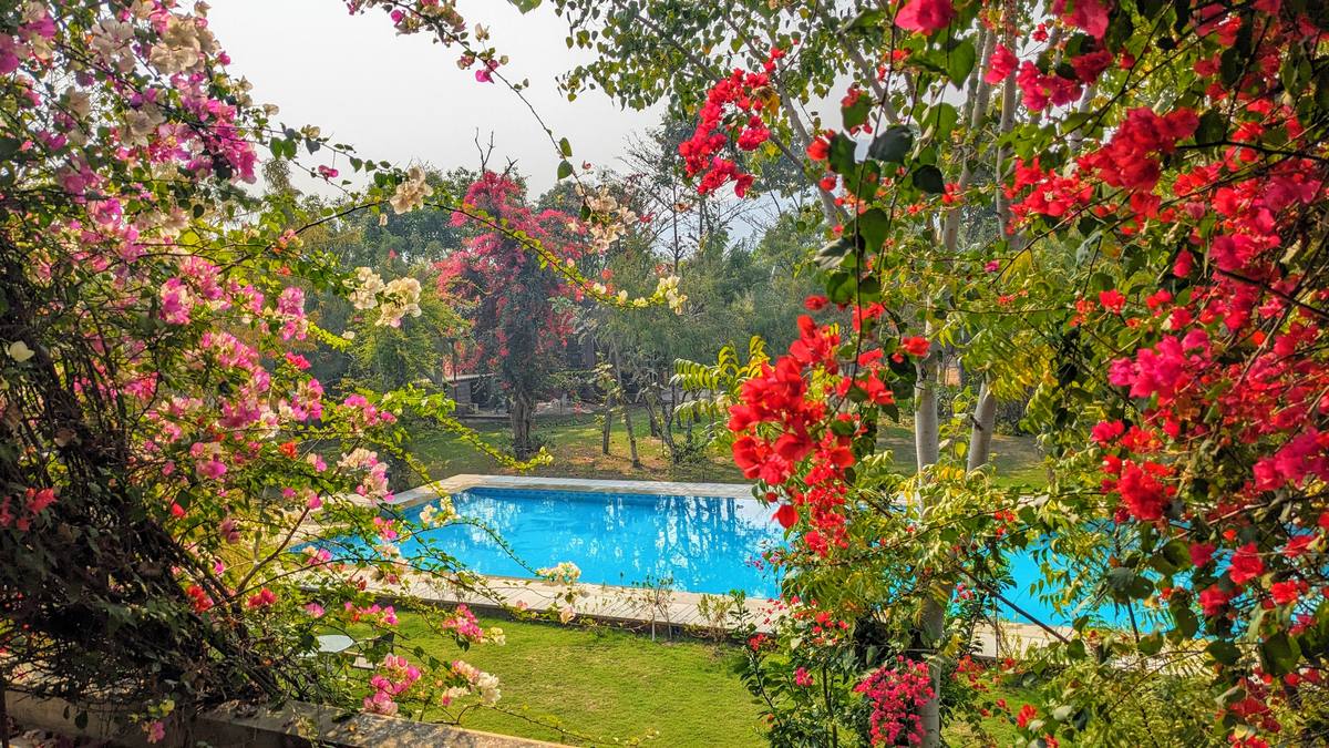 Pool set inside the farm gardens