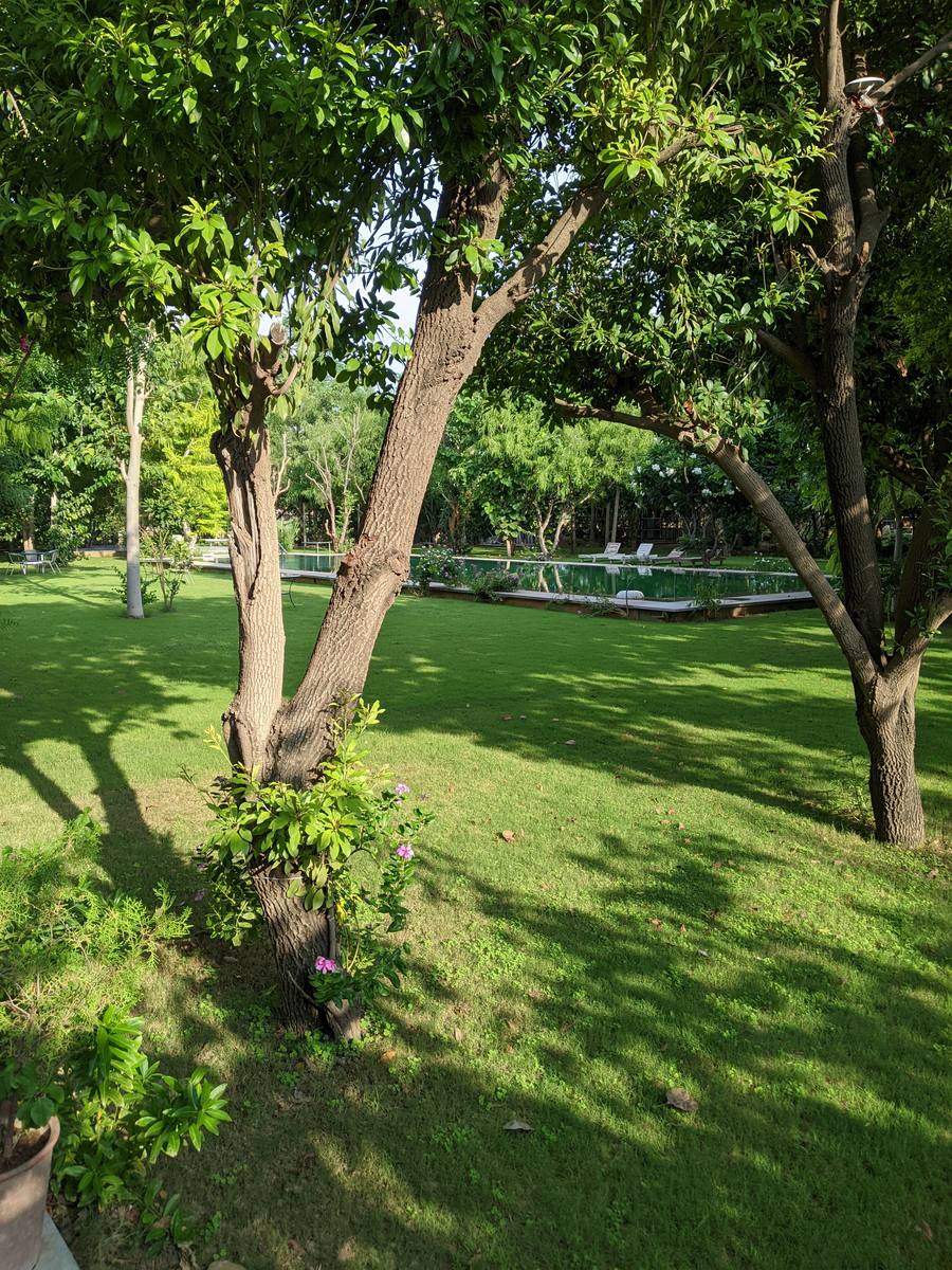 Garden and trees at PushkarOrganic