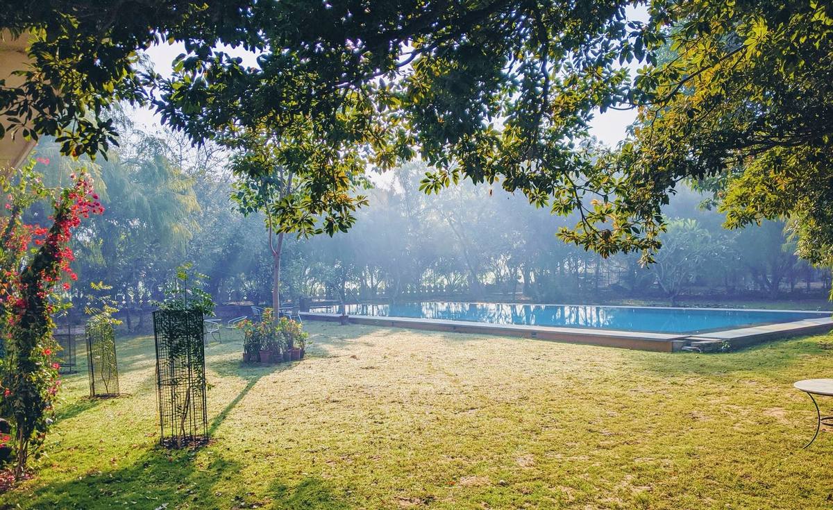 Morning mist over the farm before breakfast