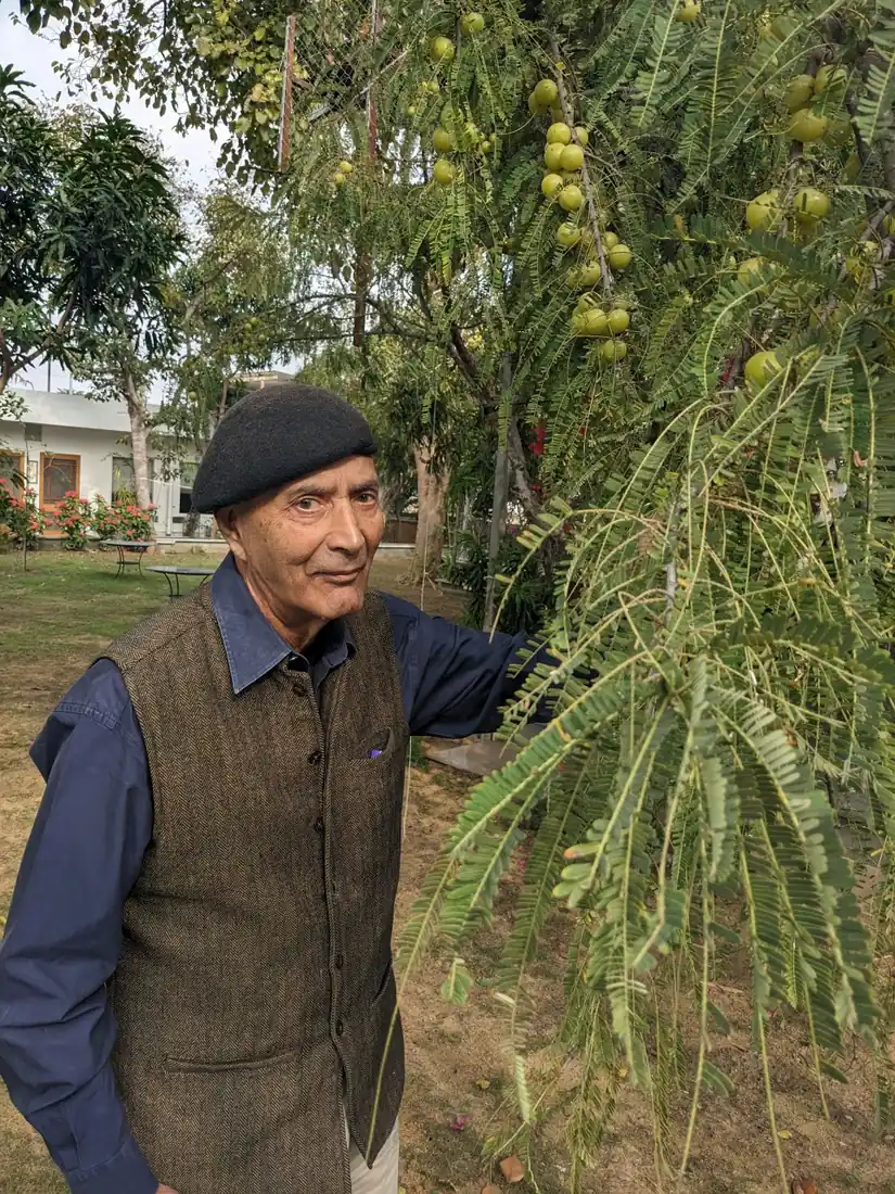 Karni Fateh Singh with amla fruit