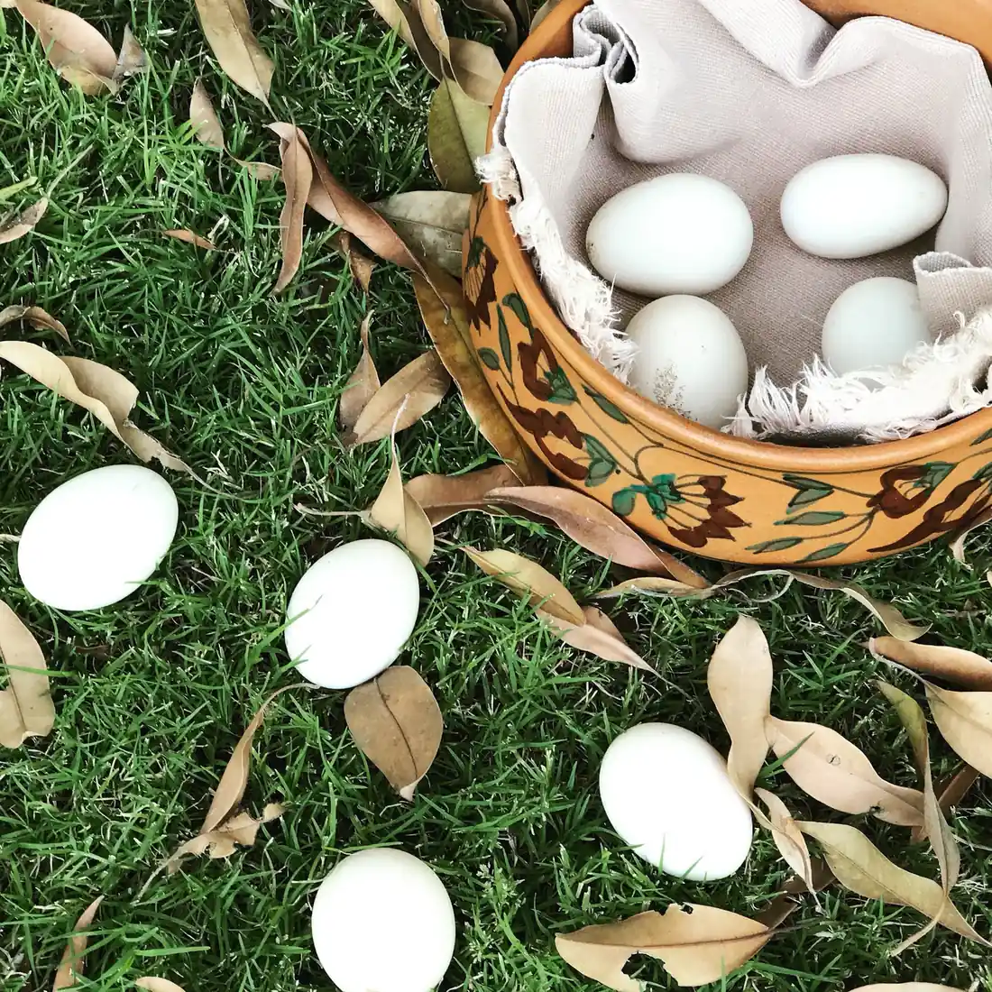 Fresh eggs gathered in a basket on the grass