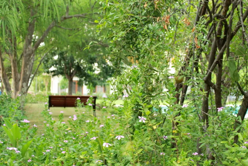 Flower-lined garden path leading to a shaded bench