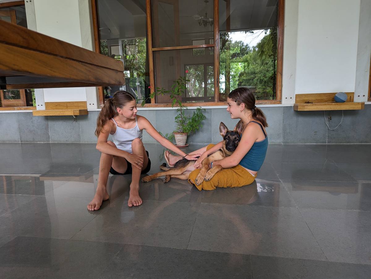 Two guests with a GSD puppy on the veranda — PushkarOrganic