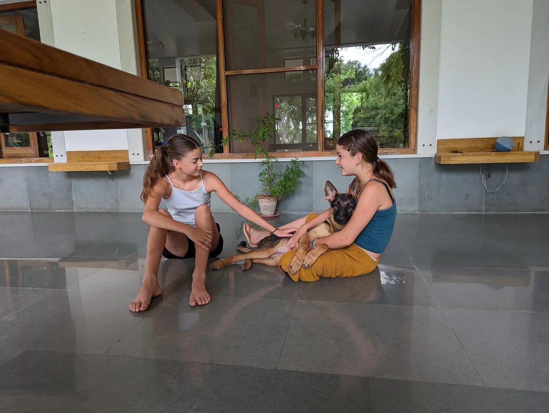 Two guests with a GSD puppy on the veranda — PushkarOrganic