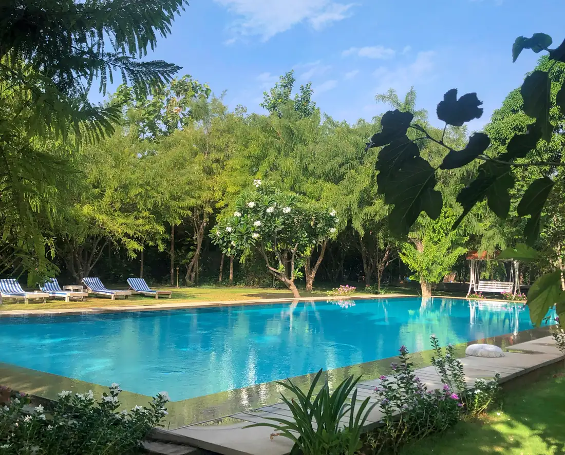 The pool framed by trees, flowers, loungers, and a garden swing