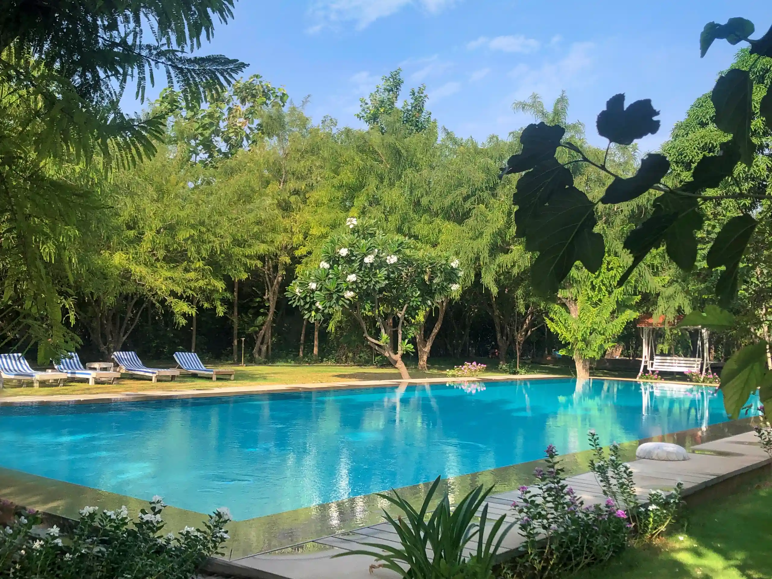 The pool, striped loungers and garden gazebo in the morning light