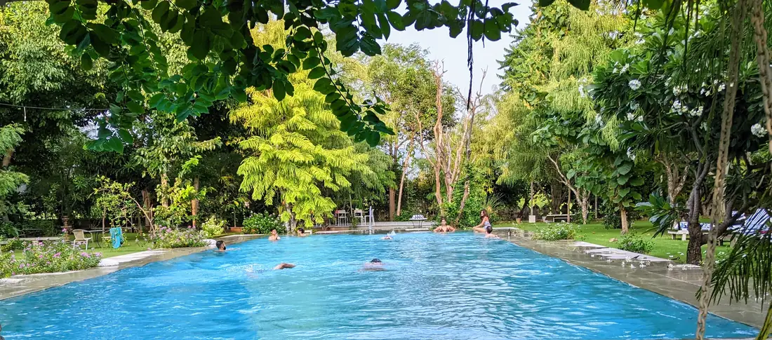 Guests swimming the full length of the pool under the garden canopy