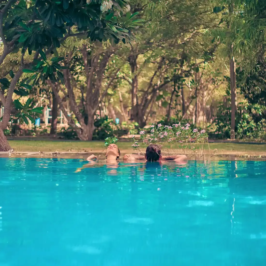 Two guests floating quietly in the pool beneath the garden trees