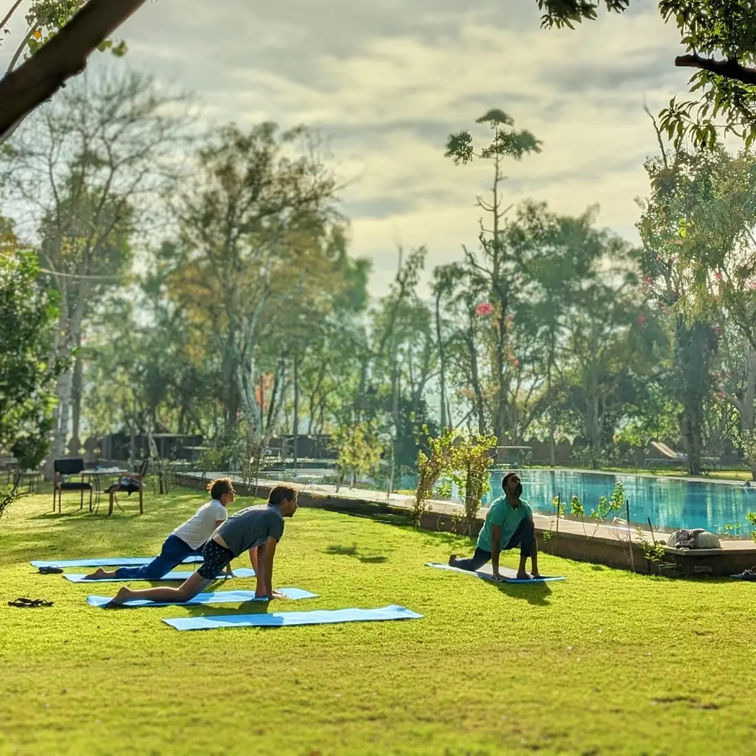 Guests doing yoga on the lawn beside the pool