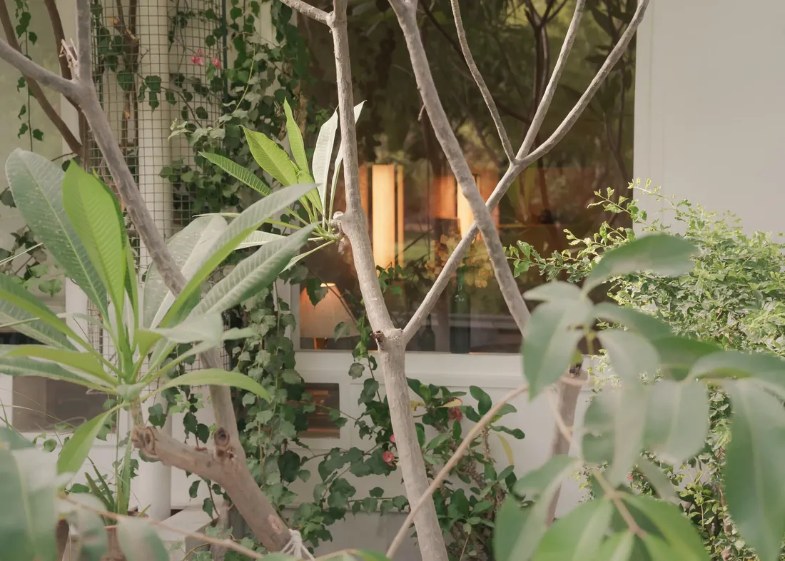 The Standard room seen from the garden through trees and plants