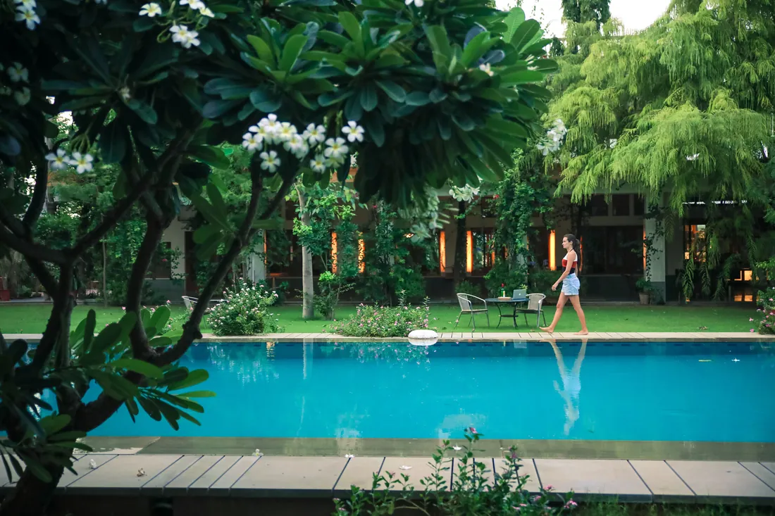 The pool and trees near the Suite